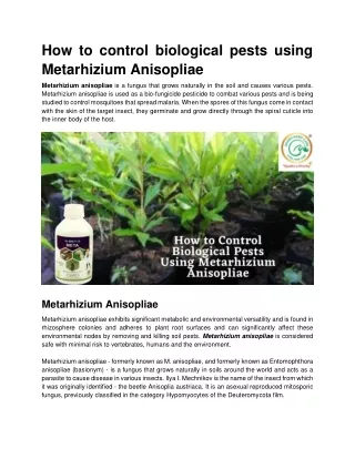 How to control biological pests using Metarhizium Anisopliae