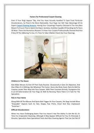factors for professional carpet cleaning