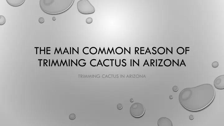 the main common reason of trimming cactus in arizona