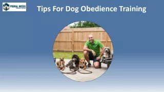 Tips For Dog Obedience Training  - Primal Needs