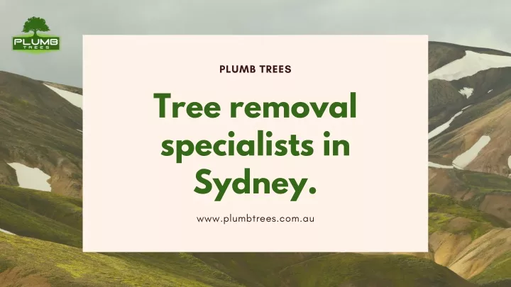 plumb trees