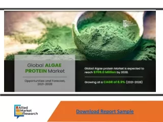 download report sample