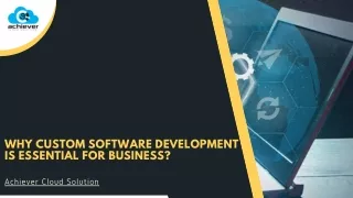 Why Company Should Depend on Custom Software Development