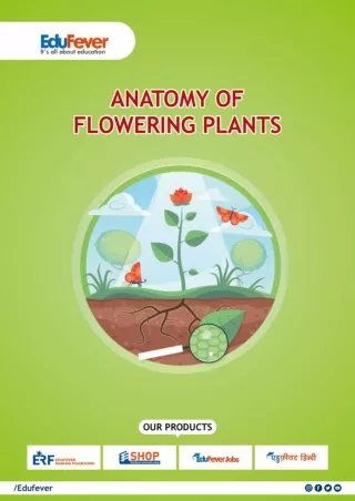ANATOMY OF FLOWERING PLANTS E-Book