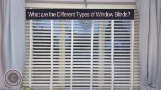 What are the Different Types of Window Blinds