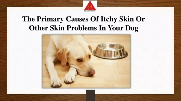 the primary causes of itchy skin or other skin