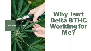 Why Isn't Delta 8 THC Working for Me?