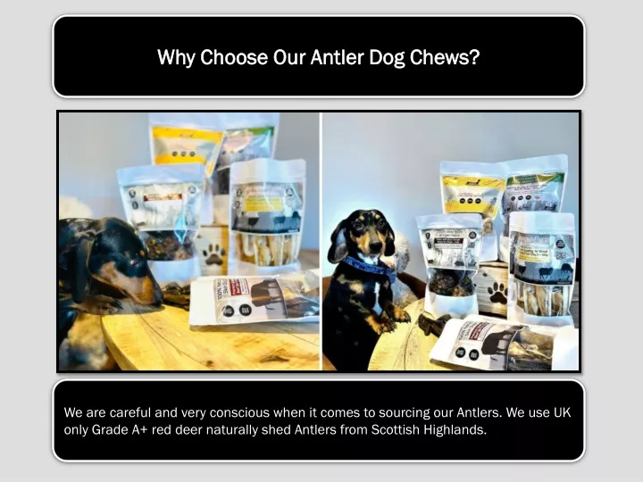 why choose our antler dog chews