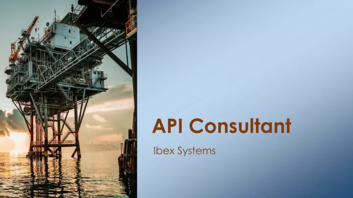 api consultant