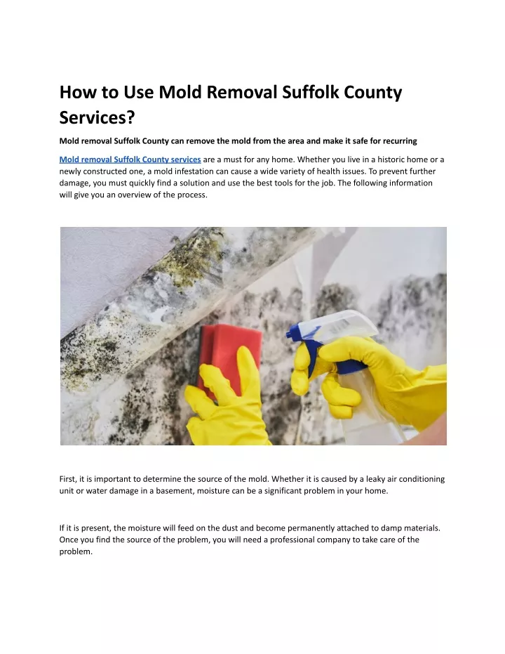 how to use mold removal suffolk county services