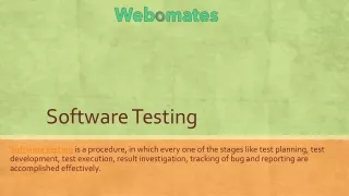 software testing
