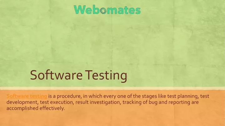 software testing