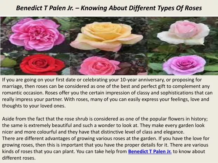 benedict t palen jr knowing about different types of roses