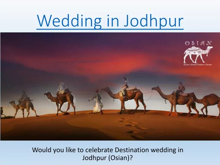 wedding in jodhpur