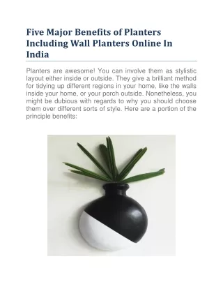 Five Major Benefits of Planters Including Wall Planters Online In India