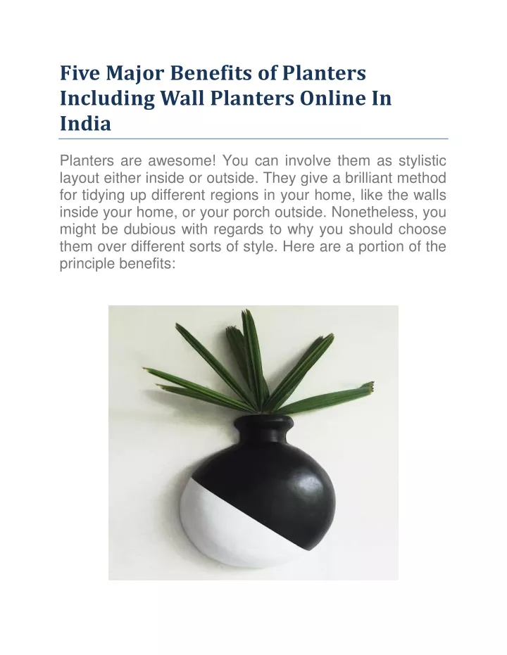 five major benefits of planters including wall