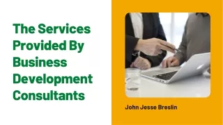 The Services Provided By Business Development Consultants | John Jesse Breslin