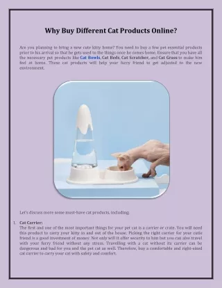Why Buy Different Cat Products Online?