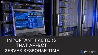 Important Factors that Affect Server Response Time