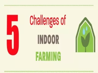 5 Challenges of indoor farming