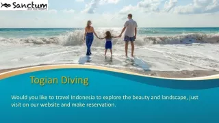 togian diving