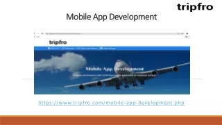 mobile app development