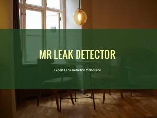 mr leak detector