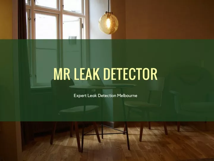 mr leak detector