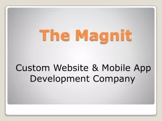 magnite ppt slides