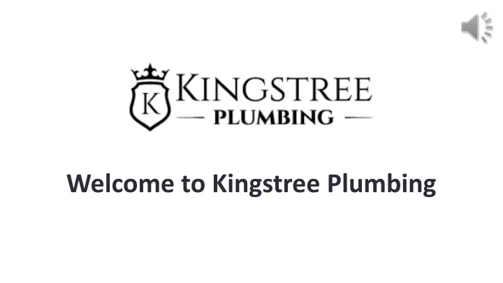 welcome to kingstree plumbing