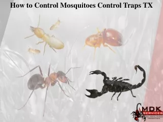 how to control mosquitoes control traps tx
