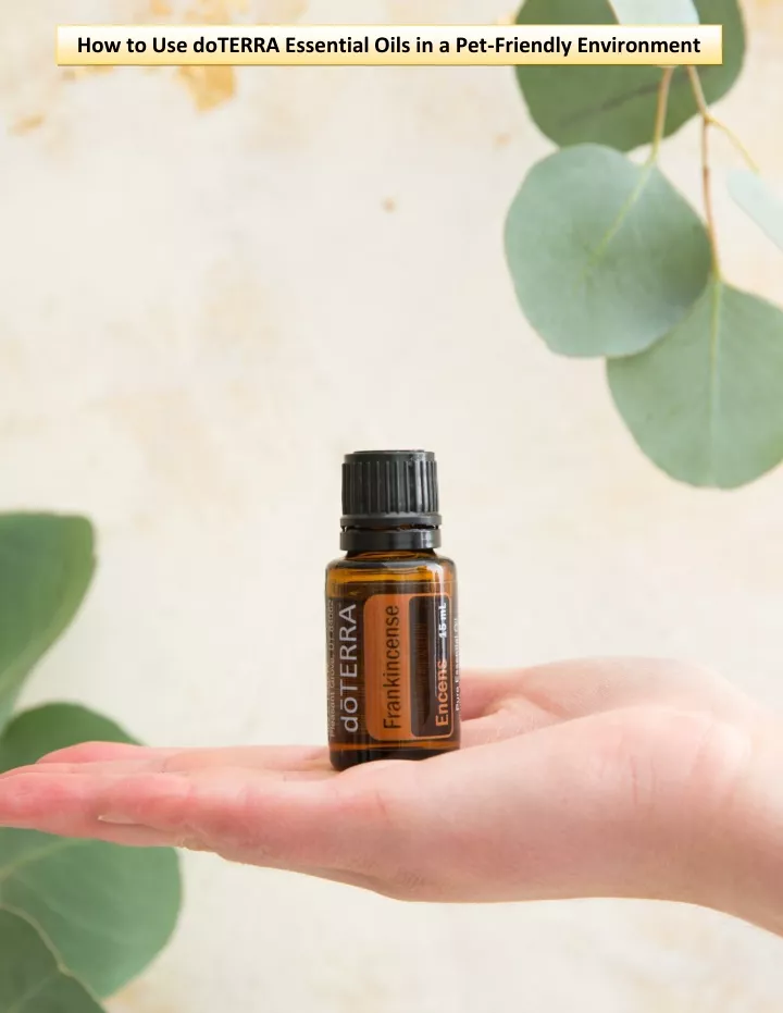 how to use doterra essential oils