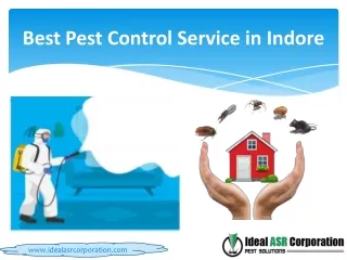 best pest control service in indore