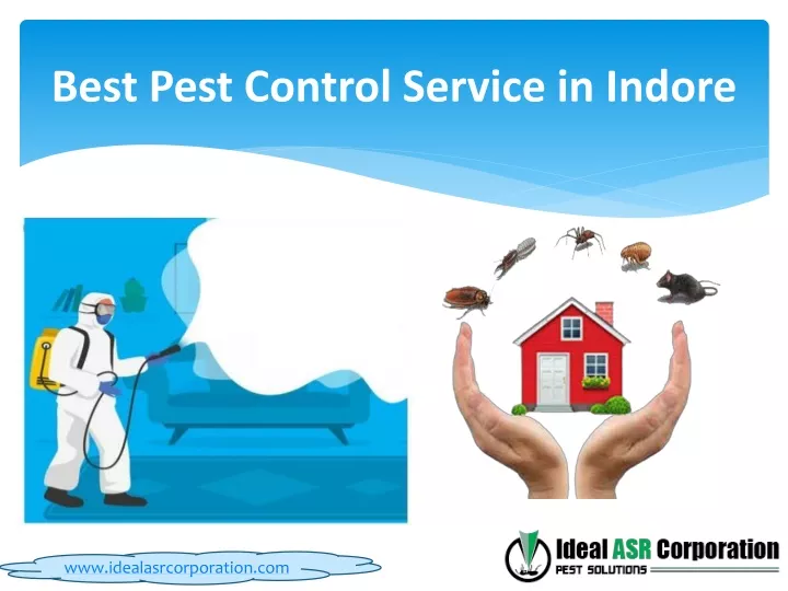 best pest control service in indore