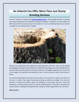 an arborist can offer more than just stump