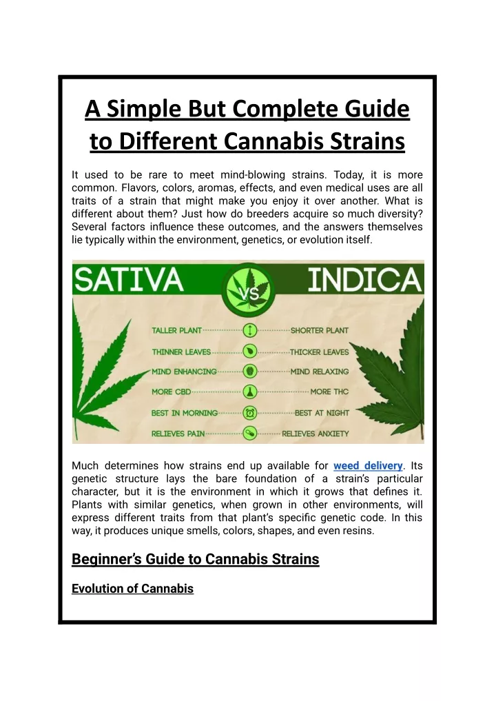 a simple but complete guide to different cannabis