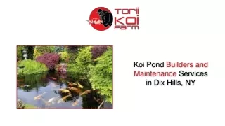 Koi Pond Builders and Maintenance Services in Dix Hills, NY