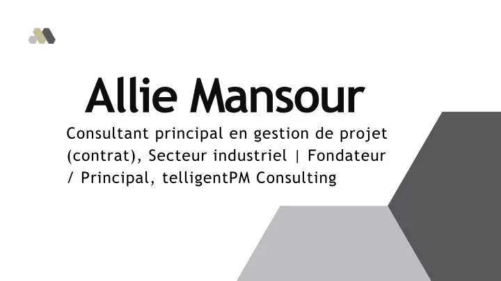 allie mansour consultant principal en gestion