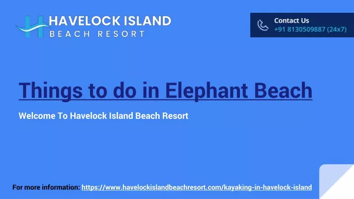 things to do in elephant beach