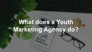 What does a Youth Marketing Agency do?