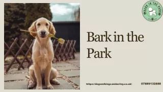 Dog Walking  in Camberley
