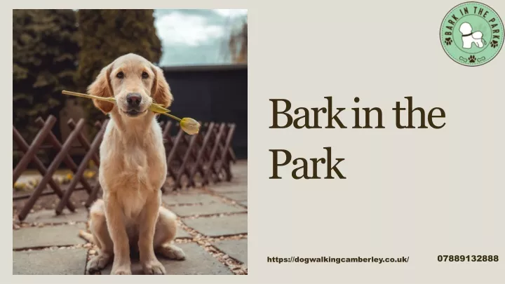 bark in the park