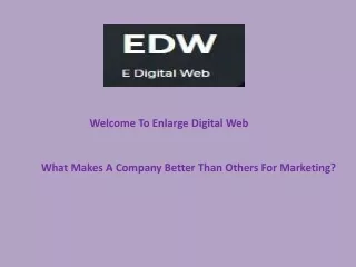 What Makes A Company Better Than Others For Marketing
