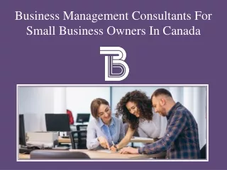 Business Management Consultants For Small Business Owners In Canada