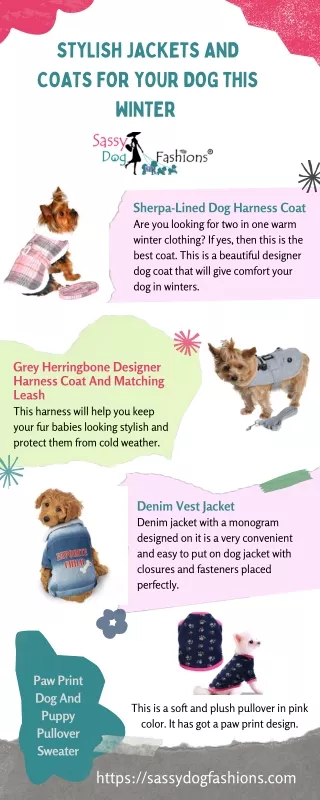 Stylish Jackets And Coats For Your Dog This Winter