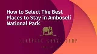 How to Select The Best Places to Stay in Amboseli National Park