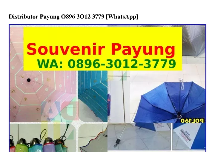 distributor payung o896 3o12 3779 whatsapp
