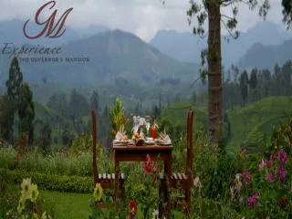 Luxury Tea Resort In Dickoya