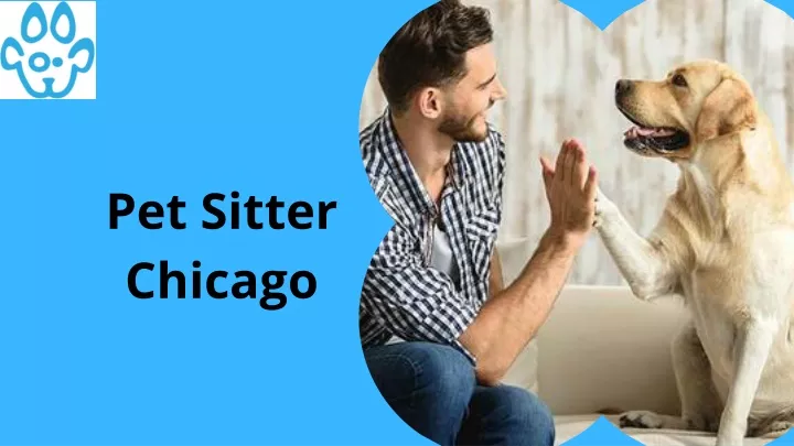 pet sitter chicago