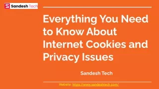 Everything You Need to Know About Internet Cookies and Privacy Issues